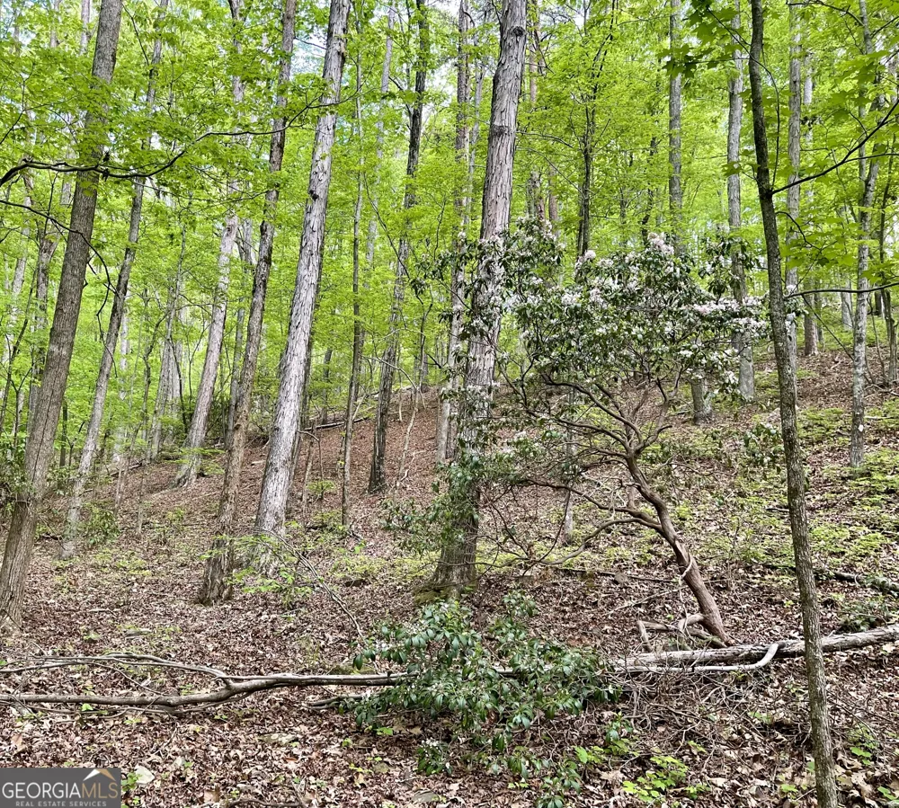 0 Everett Springs RD Armuchee, GA 30105