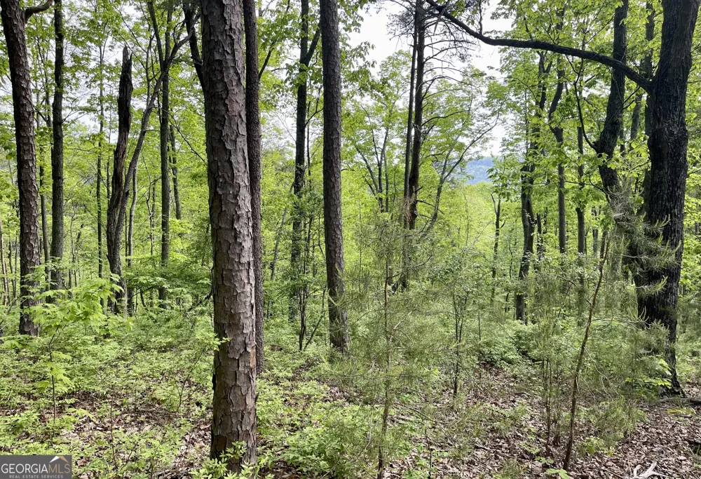 0 Everett Springs RD Armuchee, GA 30105