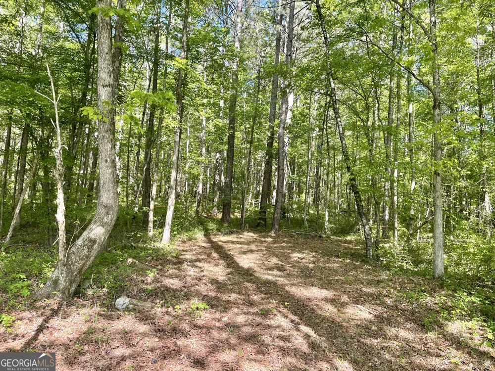 0 Everett Springs RD Armuchee, GA 30105
