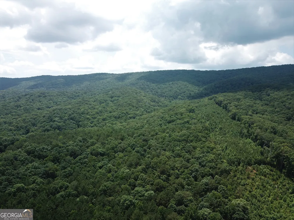 0 Everett Springs RD Armuchee, GA 30105