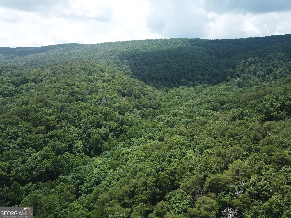 0 Everett Springs RD Armuchee, GA 30105