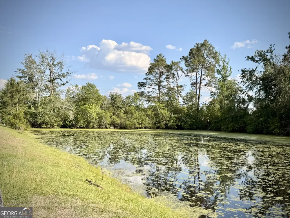 396 Douglas HWY Hazlehurst, GA 31539