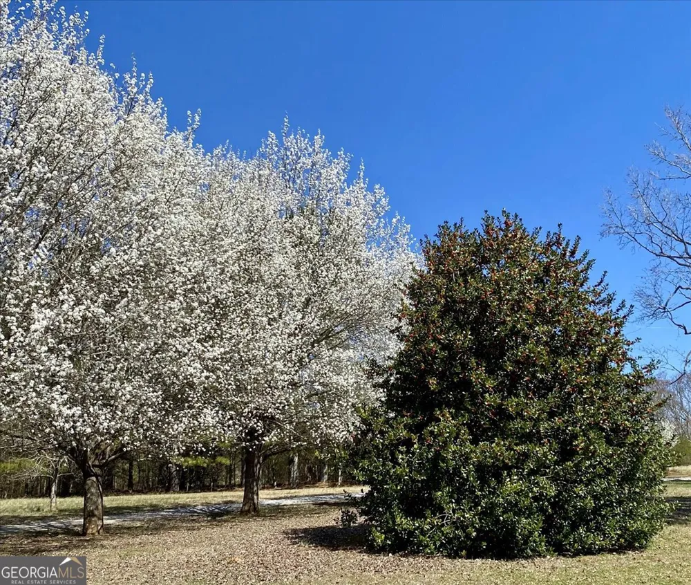 1141 Fieldcrest LN Madison, GA 30650