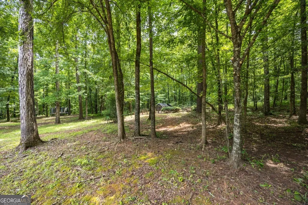 201 Manor CT Forsyth, GA 31029