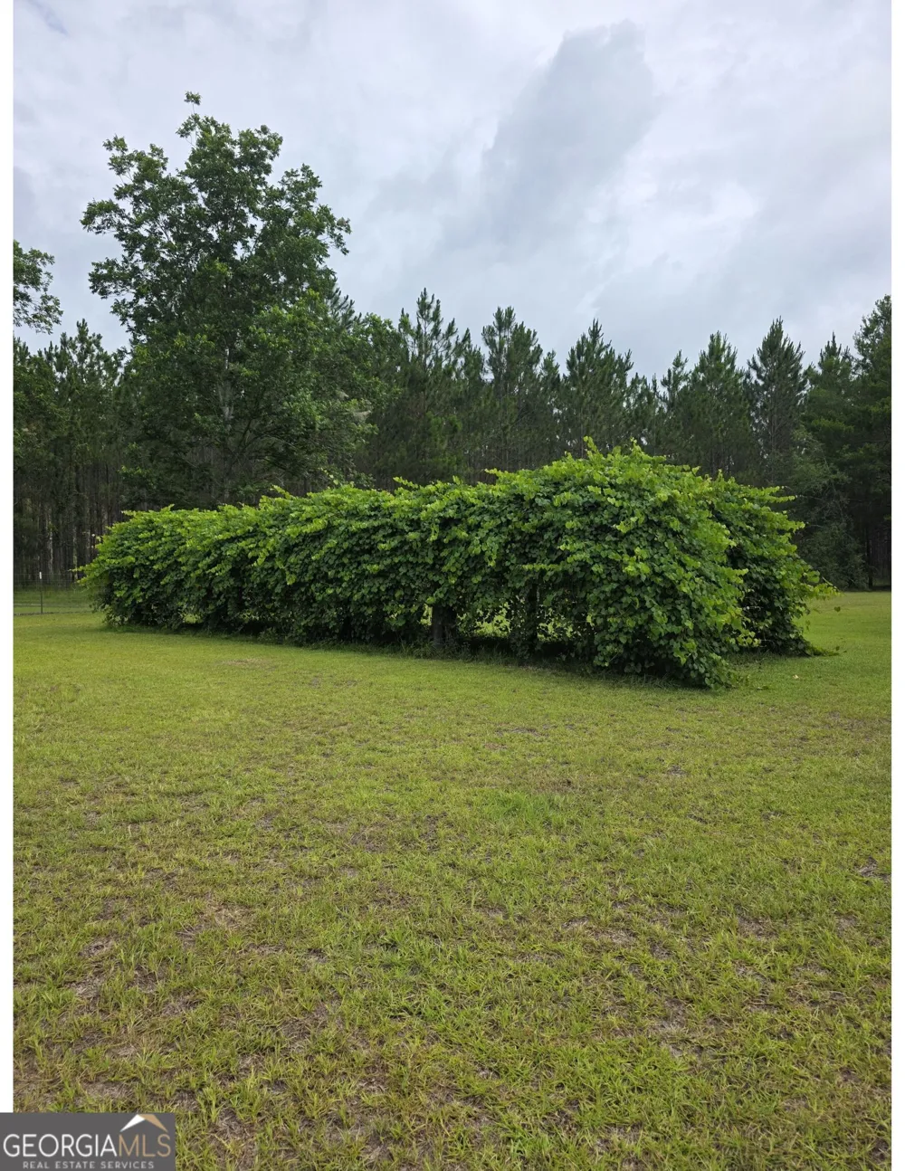 234 Robin RD Alma, GA 31510