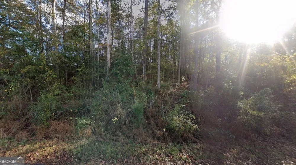246 Pine Hill RD LaGrange, GA 30241