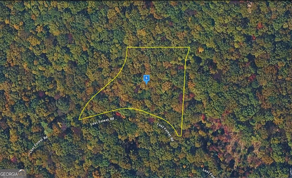 935 Lost Forest RD Ellijay, GA 30536