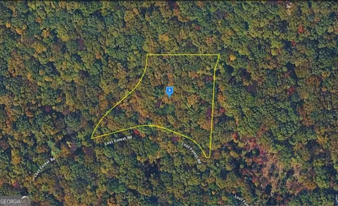 935 Lost Forest RD