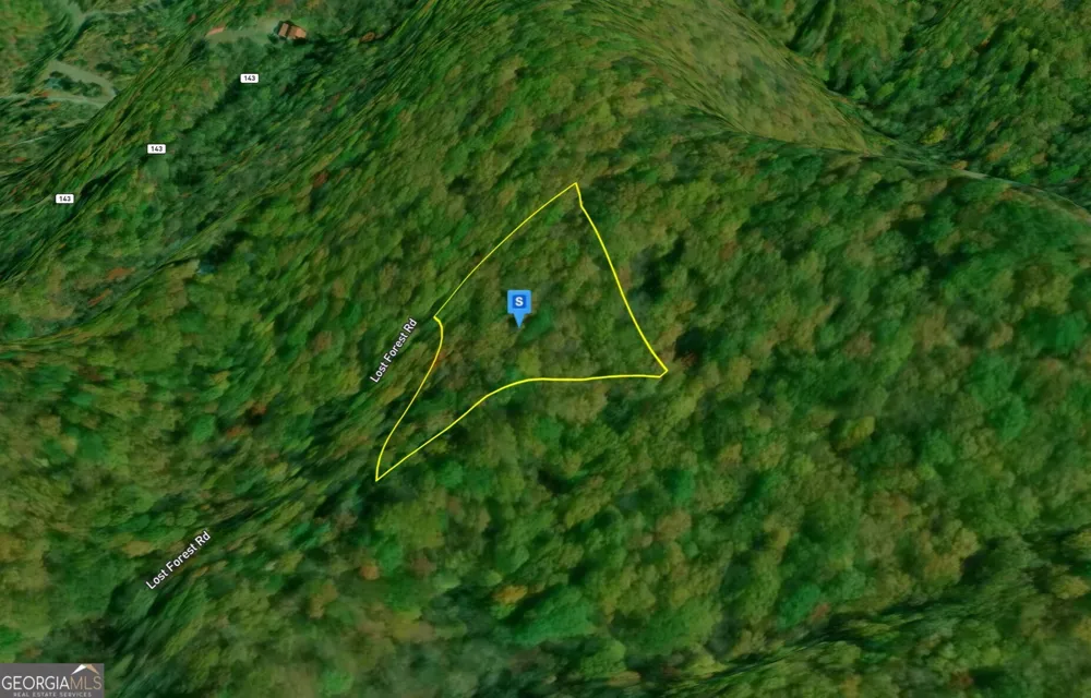 935 Lost Forest RD Ellijay, GA 30536