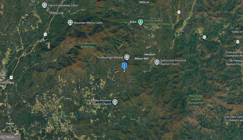 935 Lost Forest RD Ellijay, GA 30536