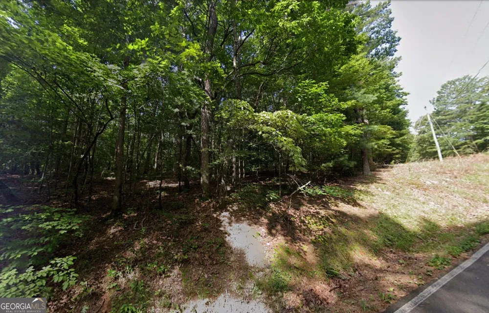 1060 Nexus DR Ellijay, GA 30540