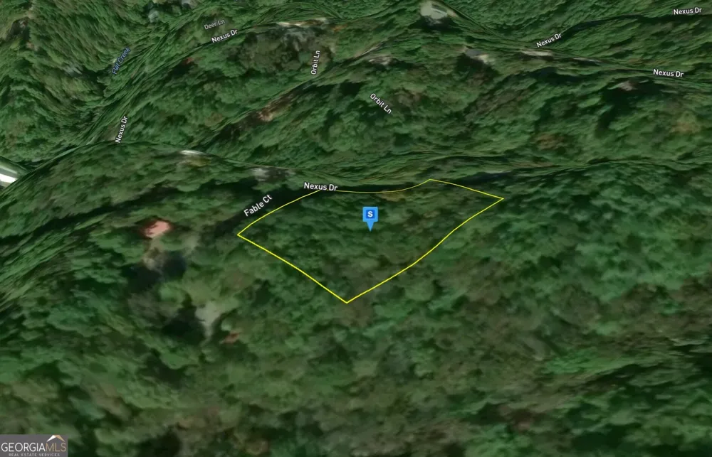 1060 Nexus DR Ellijay, GA 30540