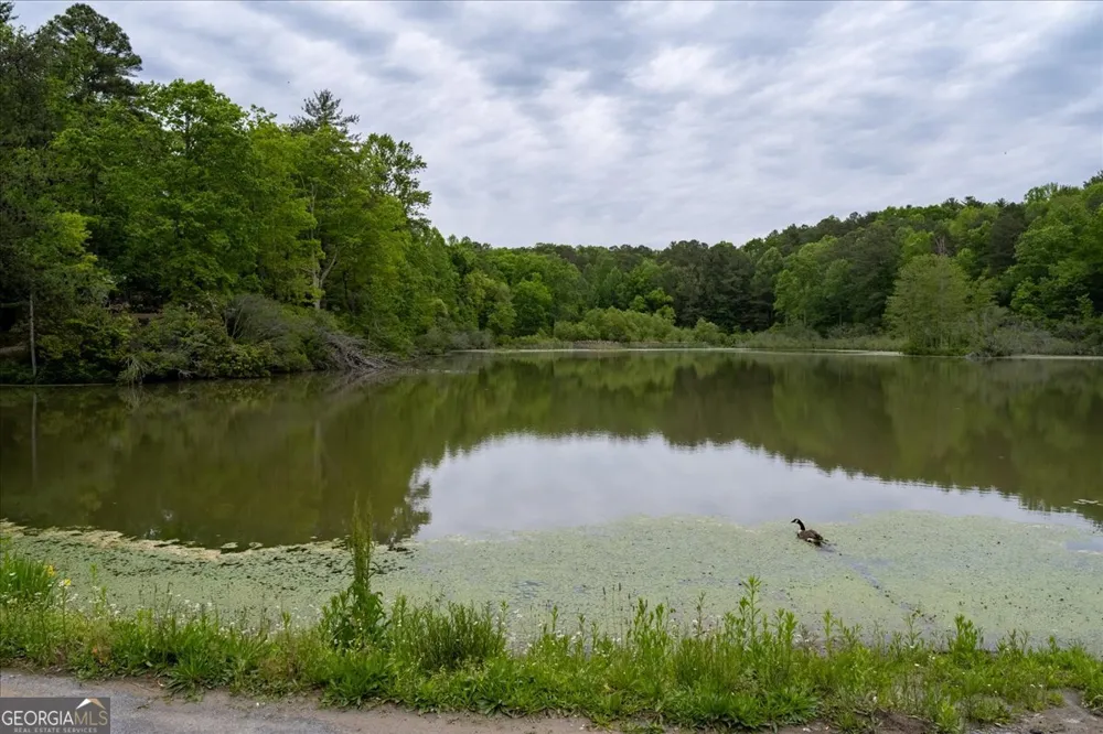 65 Bay CT Ellijay, GA 30540