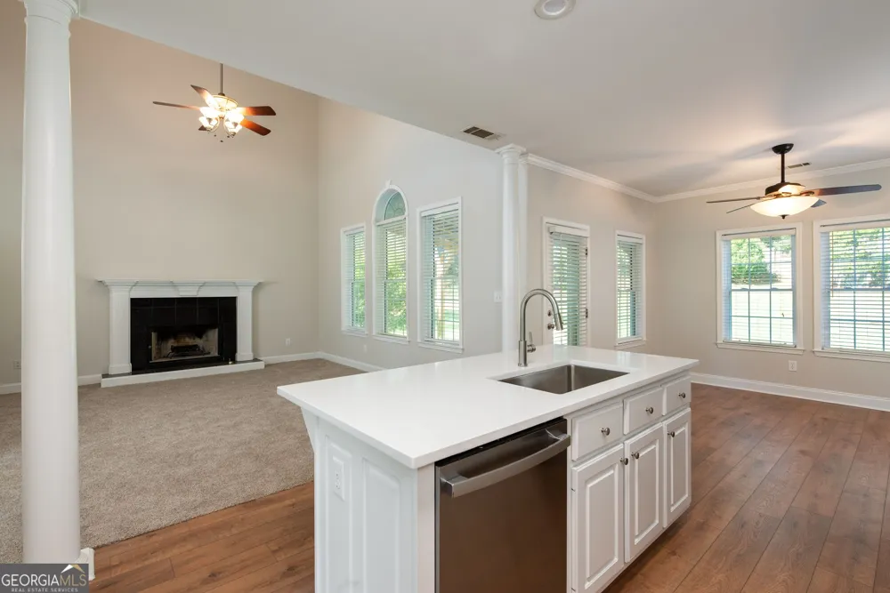 1911 Paper Birch CV Grayson, GA 30017