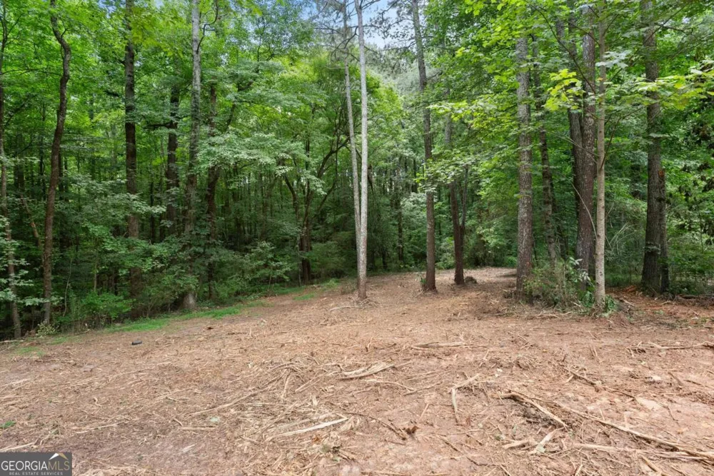 6000 Devonshire DR Flowery Branch, GA 30542