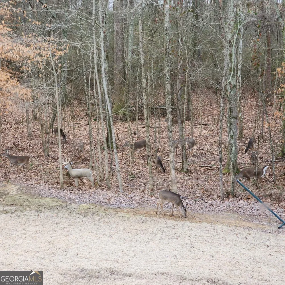 155 Brookside WAY Dawsonville, GA 30534