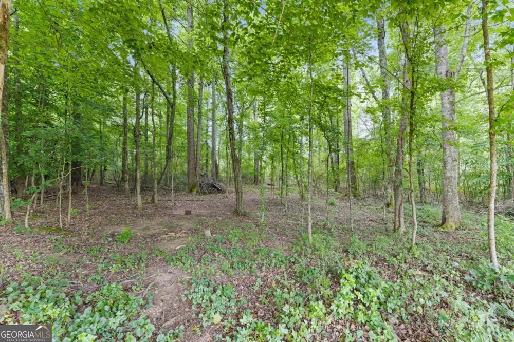 155 Brookside WAY Dawsonville, GA 30534