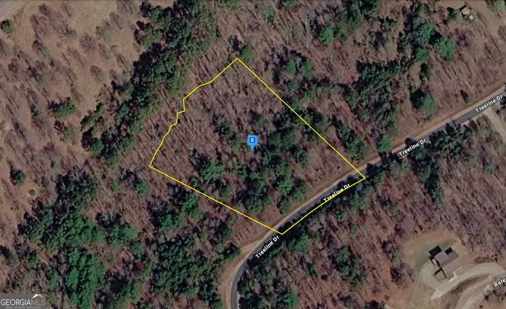 70 Treeline DR Blairsville, GA 30512