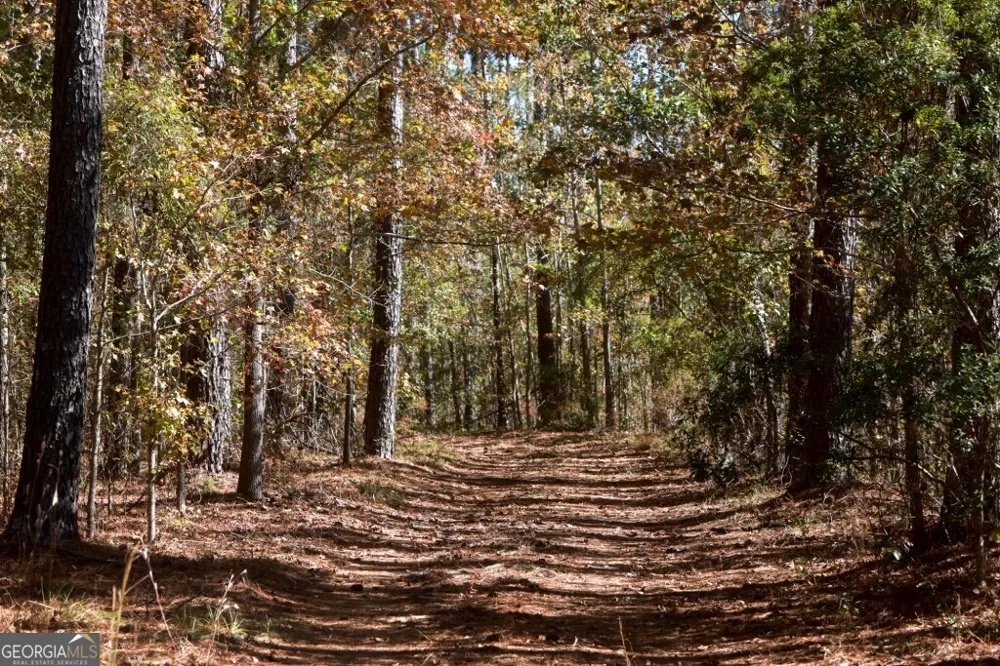 0 Anderson RD Statesboro, GA 30458