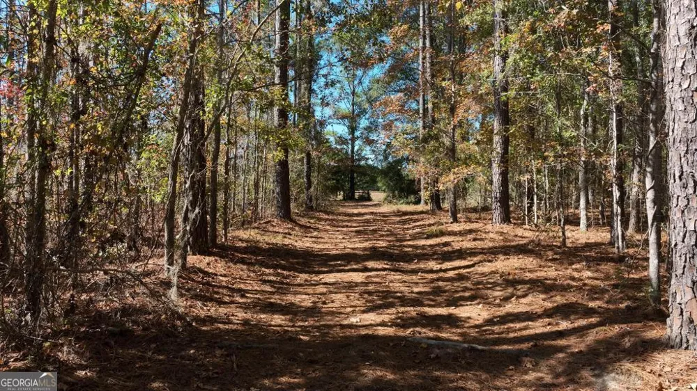 0 Anderson RD Statesboro, GA 30458