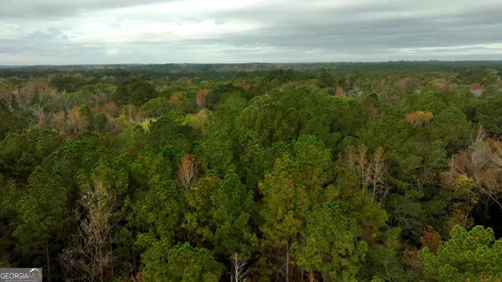 0 Twin Forks Rd/Martin RD Statesboro, GA 30458