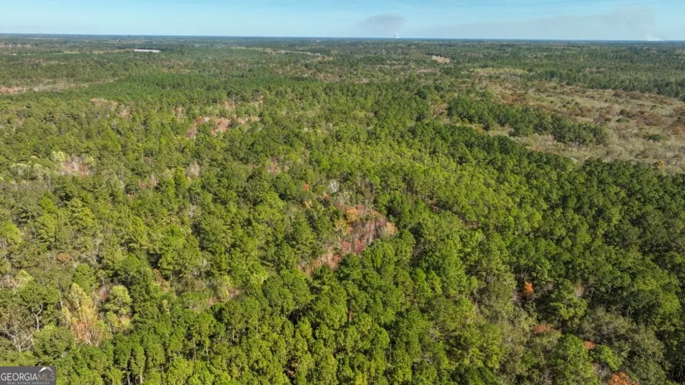 0 Twin Forks Rd/Martin RD Statesboro, GA 30458
