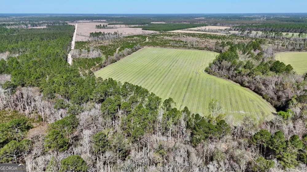 TRACT 6 Ingram RD Odum, GA 31555