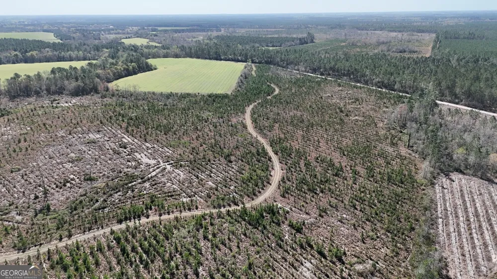 TRACT 6 Ingram RD Odum, GA 31555