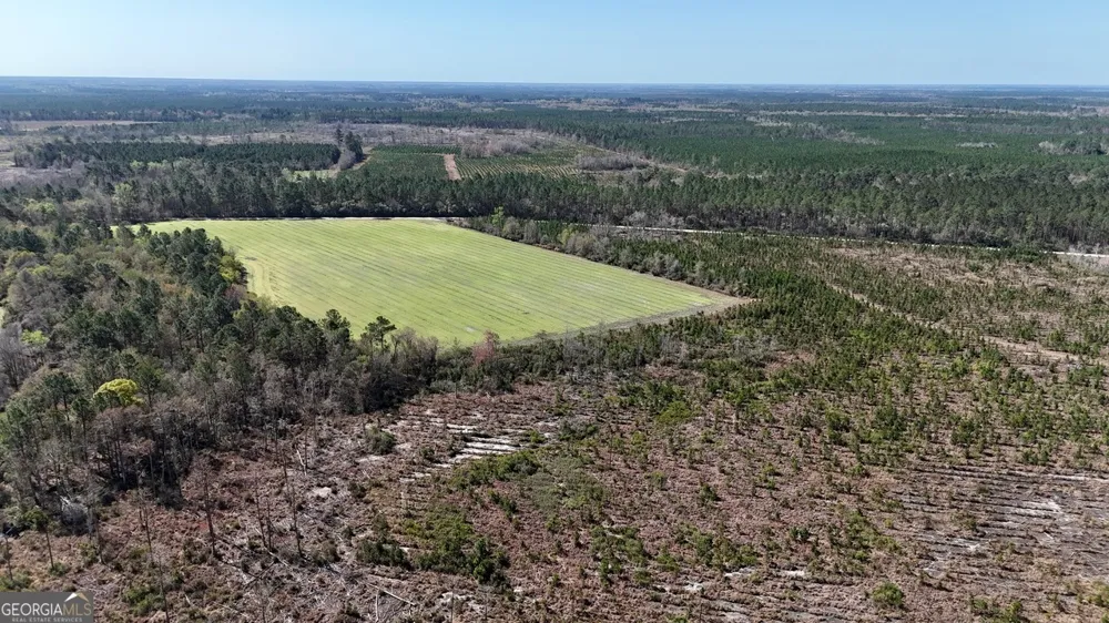 TRACT 6 Ingram RD Odum, GA 31555