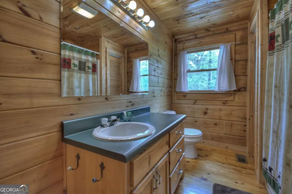 220 Lakota LN Mineral Bluff, GA 30559