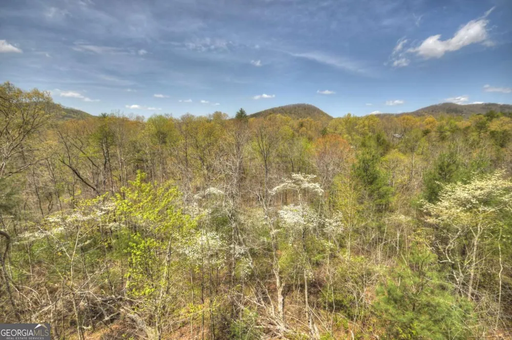220 Lakota LN Mineral Bluff, GA 30559