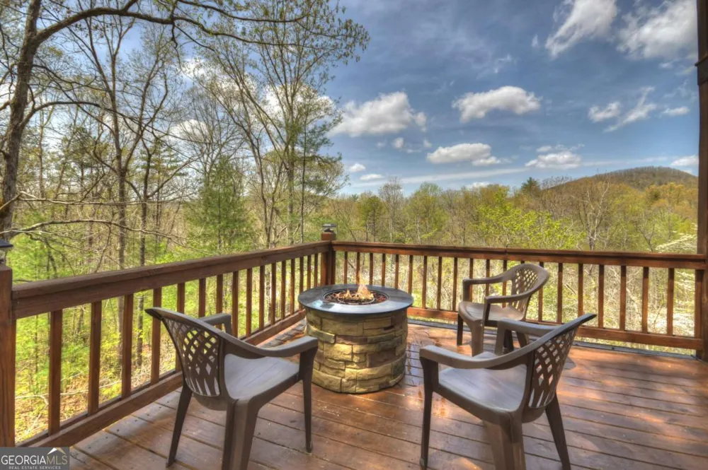 220 Lakota LN Mineral Bluff, GA 30559