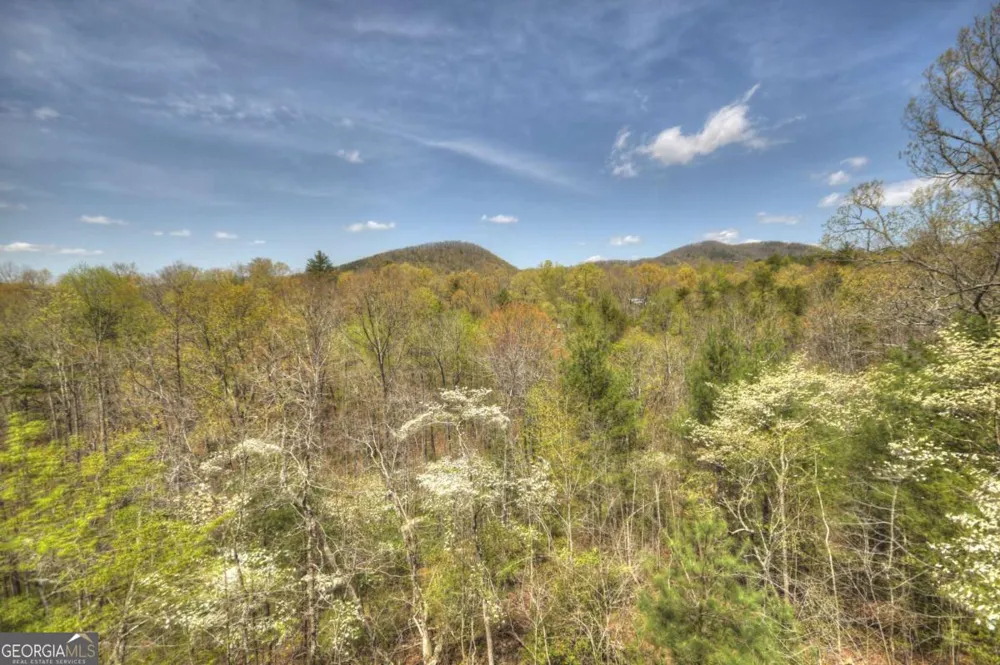 220 Lakota LN Mineral Bluff, GA 30559