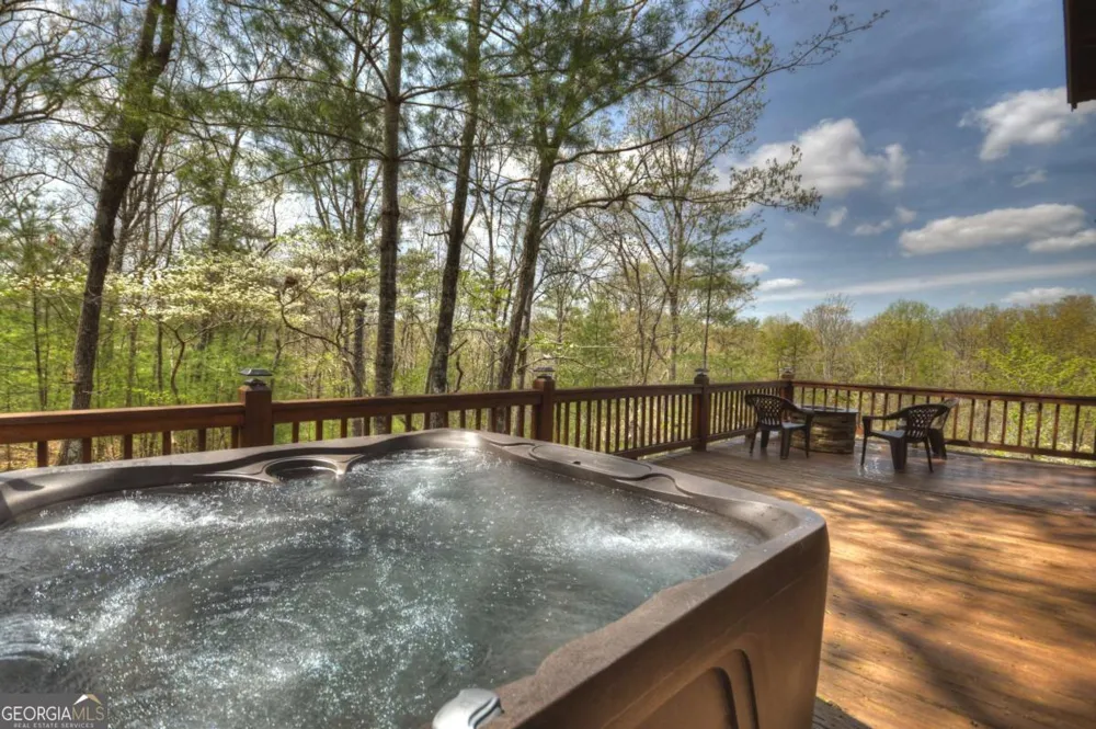 220 Lakota LN Mineral Bluff, GA 30559