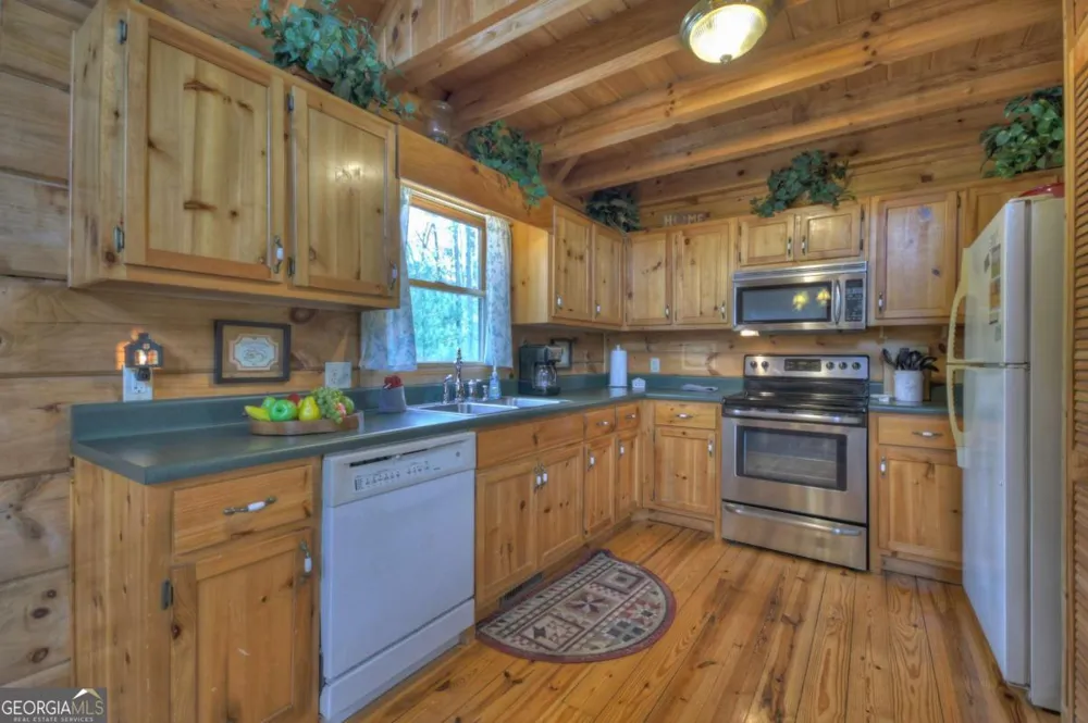 220 Lakota LN Mineral Bluff, GA 30559