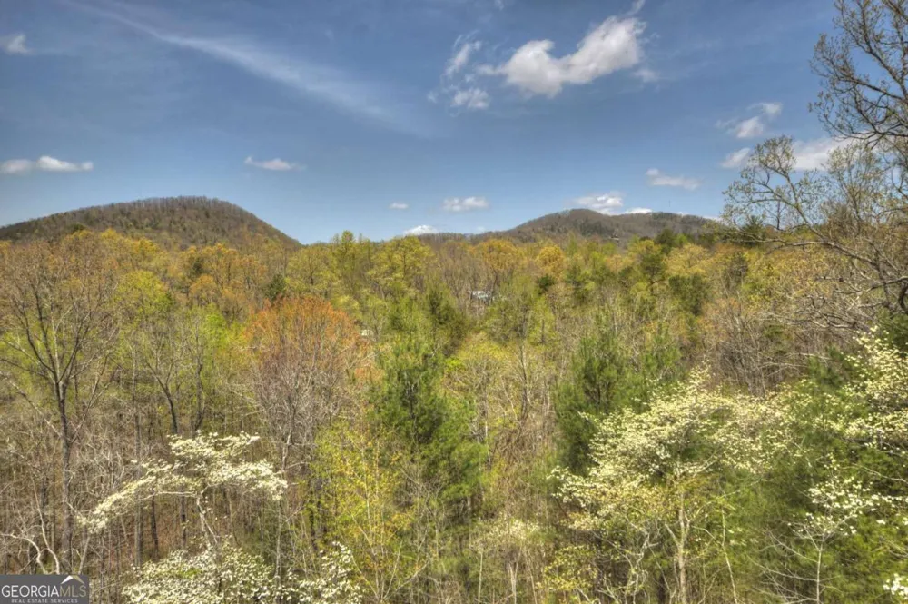 220 Lakota LN Mineral Bluff, GA 30559