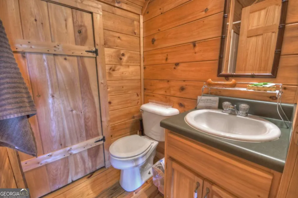 220 Lakota LN Mineral Bluff, GA 30559