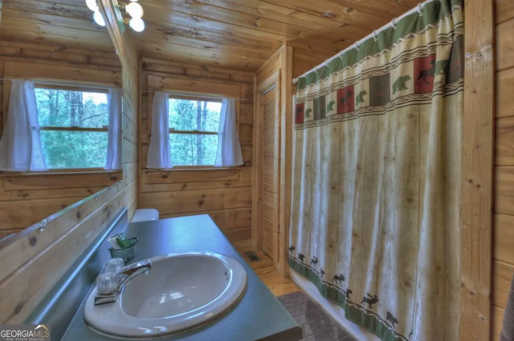 220 Lakota LN Mineral Bluff, GA 30559