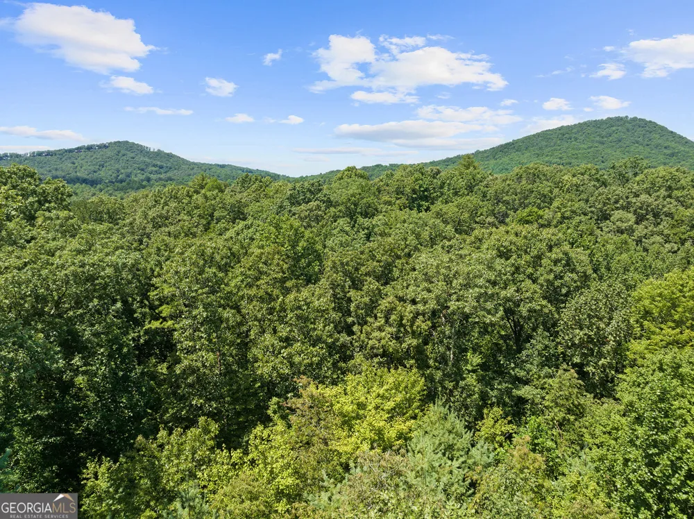 220 Lakota LN Mineral Bluff, GA 30559