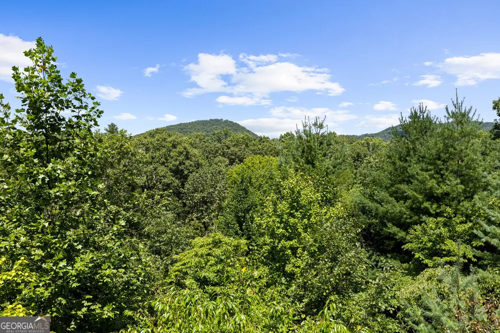220 Lakota LN Mineral Bluff, GA 30559