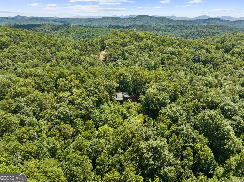 220 Lakota LN Mineral Bluff, GA 30559
