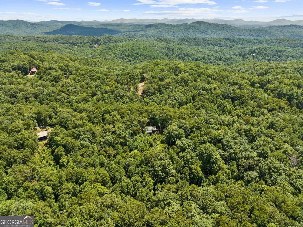 220 Lakota LN Mineral Bluff, GA 30559