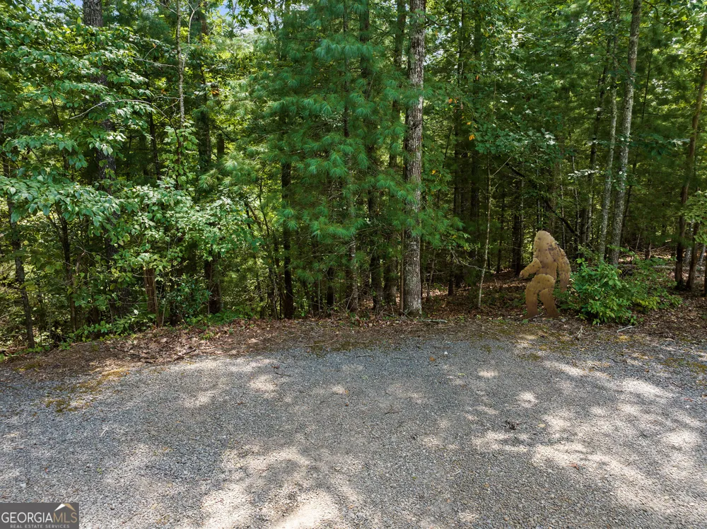 220 Lakota LN Mineral Bluff, GA 30559