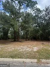 86 Marsh Creek BLVD Waverly, GA 31565