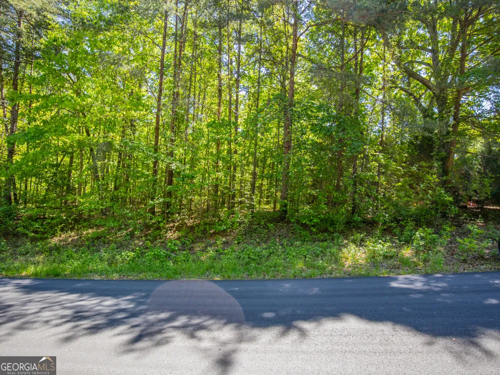 1.01 ACRE Oak DR Toccoa, GA 30577