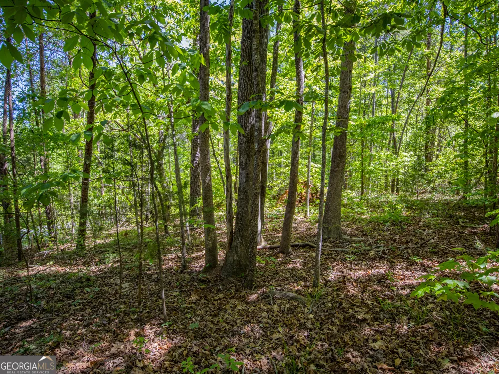 1.01 ACRE Oak DR Toccoa, GA 30577