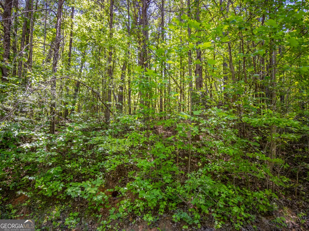 1.01 ACRE Oak DR Toccoa, GA 30577
