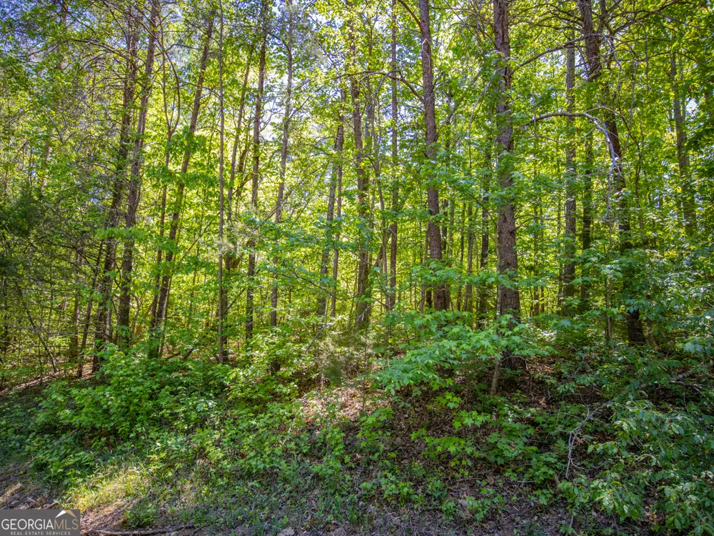 1.01 ACRE Oak DR Toccoa, GA 30577