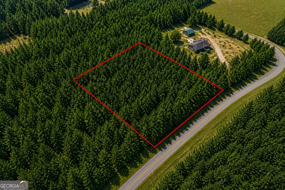 1.3 ACRES Walter Phillips RD Hazlehurst, GA 31539
