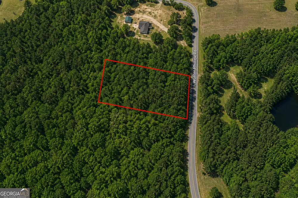 1.3 ACRES Walter Phillips RD Hazlehurst, GA 31539
